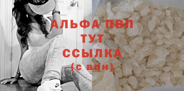 спиды Мегион