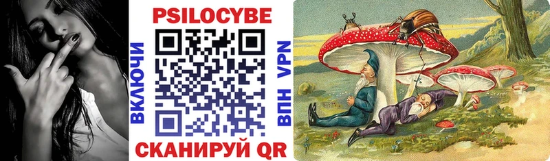 Псилоцибиновые грибы Psilocybine cubensis  Конаково 
