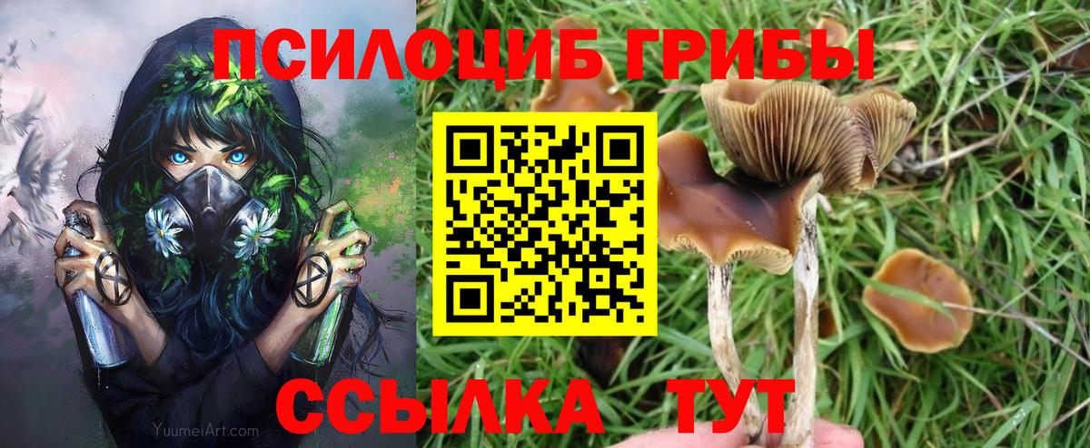 Галлюциногенные грибы прущие грибы Конаково